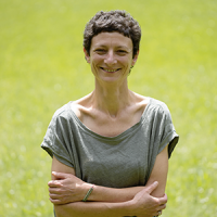 Image / illustration