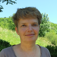 Image / illustration