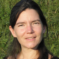 Image / illustration