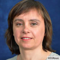 Image / illustration