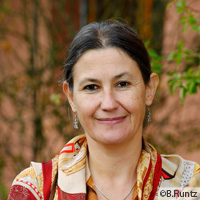 Image / illustration