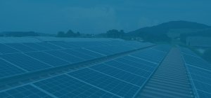 Image / illustration