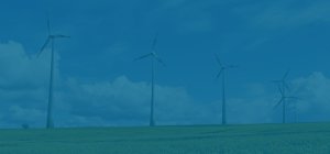 Image / illustration